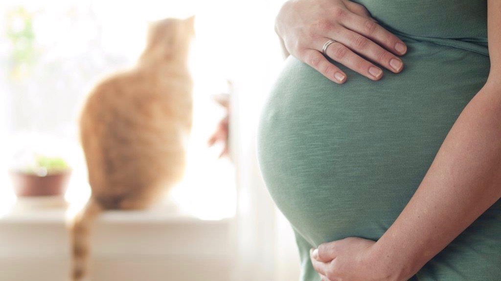 Schwangere Frau legt Hände um ihren Bauch